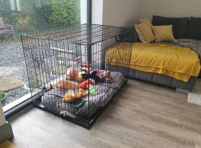 Dog Crate