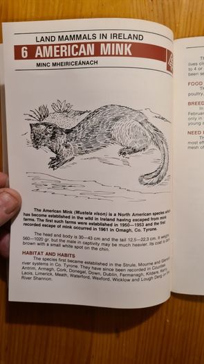Land Mammals In Ireland. Issued By Forest And Wildlife Service. Leesonane Dublin. Booklet.1986.