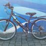 Apollo Kids Bicycle Image 6