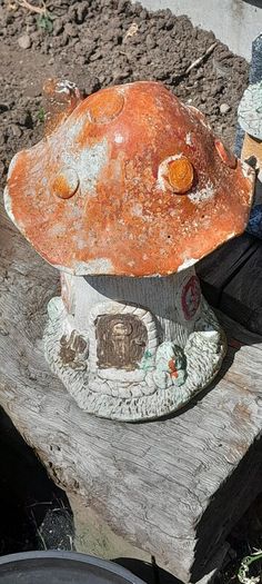 fairy house