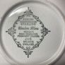 Dinner Service  8 Settings (44 pieces)  - J&G Meakin England Staffordshire Sterling Vine Blue Image 3