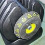 Adjustable Weights and Bench Image 5