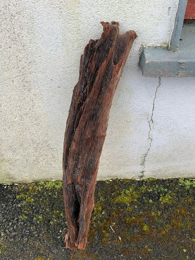 Substantial Collection of Old Bog Oak. Delivery by van can be arranged.