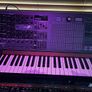 Arturia Matrixbrute Image 2