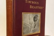 ''Wee Tim'rous Beastie''- Studies of Animal Life and Character. With One Hundred and Fifty Illustrations from His Photographs of Living Creatures by Douglas English (HQ330)