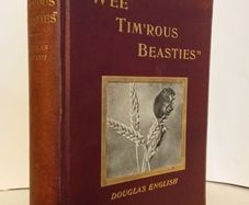 ''Wee Tim'rous Beastie''- Studies of Animal Life and Character. With One Hundred and Fifty Illustrations from His Photographs of Living Creatures by Douglas English (HQ330)