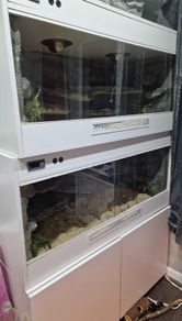 Terrarium for sale