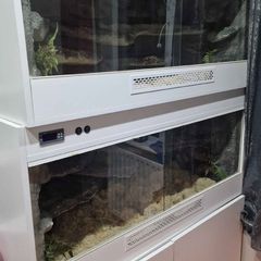 Terrarium for sale