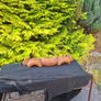 Old traditional beef yoke farming object possible to post Image 2