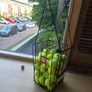 Approx 40 Tennis balls with basket Image 2