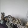 fish tank decorations Image 3