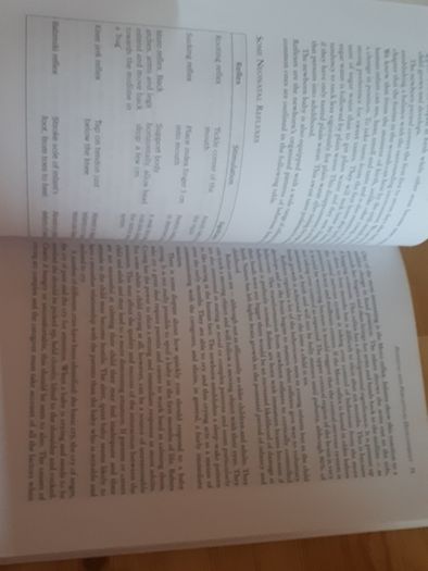 Early childhood an introductory text