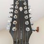 12 String Acoustic Image 4