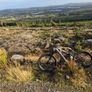 Canyon Strive CFR SIZE L Image 2