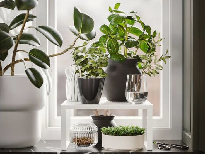 White press or shelf insert or pot stand