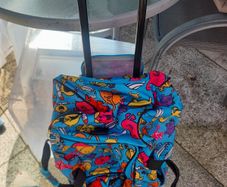 travel bag