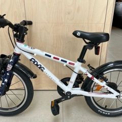 Bike Frog 48