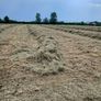 Hay Bales Image 2