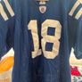 NFL Vintage Colts Indianapolis Payton Manning Jersey Size 50 and Colts Mens Beanie One Size Image 2