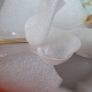 Bone China Meidao Cup and Saucer x 2 Image 4