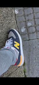 new balance trainer's