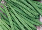 French Bean Seeds