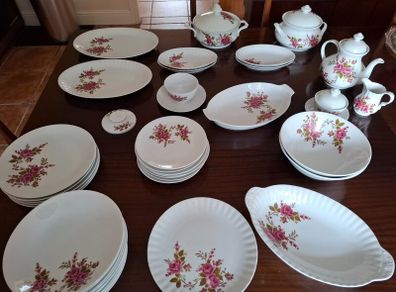 Beautiful vintage  Bavarian Dinner service