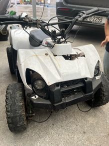 Electric quad