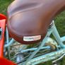 Olive and Orange Ladies Bike Image 6