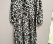 Zara leopard maxi dress