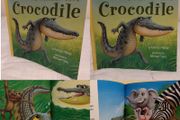 Here Comes the Crocodile by Kathryn White