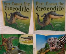 Here Comes the Crocodile by Kathryn White