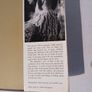 The Peregrine by J.A. Baker First Edition 1967 Image 3