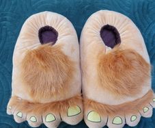 Novelty Slippers..