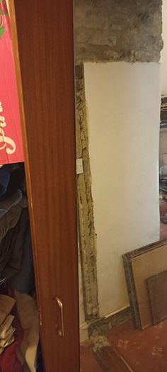 Narrow Door with Full length Mirror
