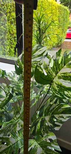 Artificial monstera