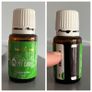 Asst. Essential Oils Image 2