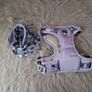 dog harness set Image 3
