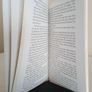 The Jesus Letters! Letters from an Innocent Abroad in Ireland by Eanna Brophy (RB442) Image 4
