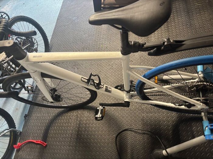 Adult Bike