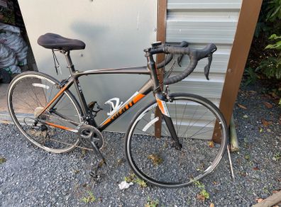 Giant contend