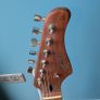 Cort G200 Se Image 2