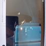 ARROWS 10.1 inch Tablet, Model FJT21, 64GB, in excellent condition, great for youtube and watching movies Image 4