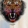 Zavetti Tshirt size medium Image 2