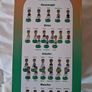 Derry GAA Bobble Head Image 2