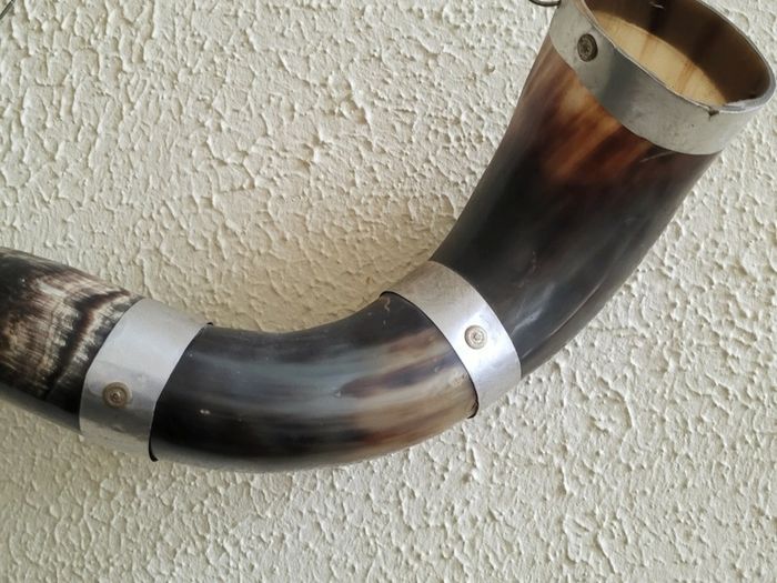 Vintage decorative horn