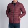 XV Kings jacket "Tommy Bowe" Image 7