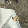 pvc, Back door Image 5