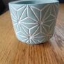 Succulent Flower Pot for Sale Image 4