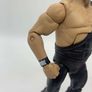 wwe elite series 18 Jerry The King Lawler action figure Image 7